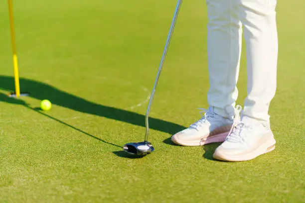 Golfer preparing for a putt Golf ball on the green during golfcourse.