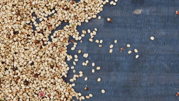 istock Close up of coffee beans 1366520704