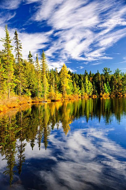 istock Forest and sky reflecting in lake 136652215