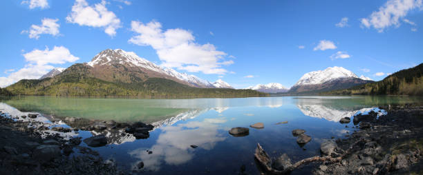 панорама озера безумная салли на полуострове кенай на аляске сша - riparian forest стоковые фото и изображения