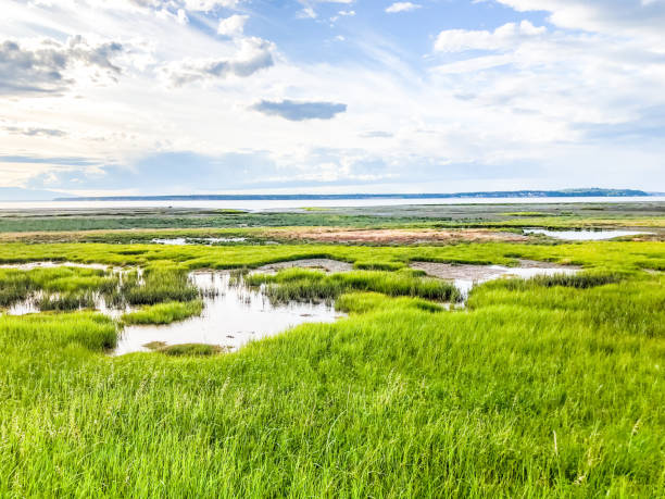 istock Coastal Features near Anchorage, Alaska 1366523370