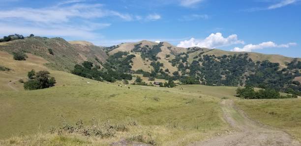 istock High Valley at Sunol Regional Wilderness, California 1366525150