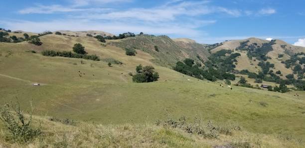 istock High Valley at Sunol Regional Wilderness, California 1366525162