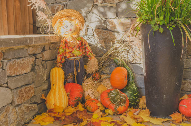 istock Doll and pumpkins for Halloween 1366530604