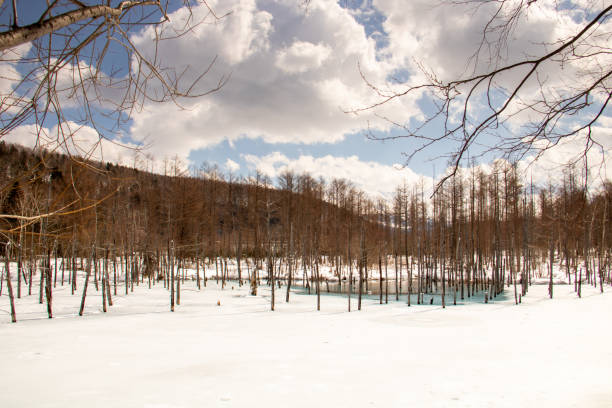 istock Blue pond where the ice has begun to melt in spring 1366530633