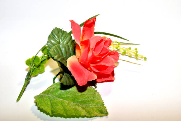 Beautiful red rose in the garden.Stock photo