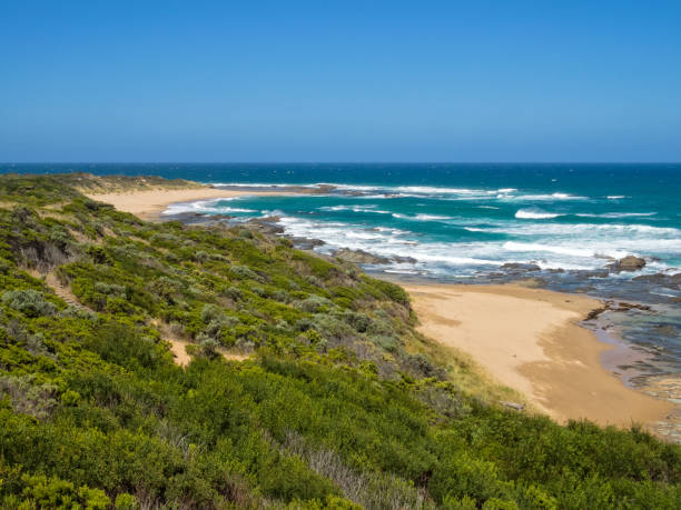 spiaggia sabbiosa - point franklin - otway national park foto e immagini stock