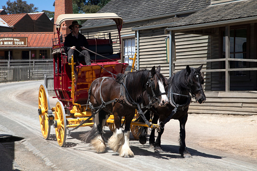 The image was taken at Sovereign Hill, gold mines (December 5th, 2021) Ballarat, Victoria, Australia. Horses and carriage on wheels transport at gold mine street with historical buildings during summer afternoon