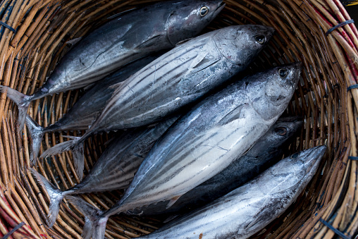 big tuna fish in traditional market