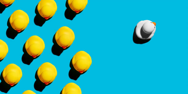 istock White rubber duck swims towards different direction from the crowd. Difference, individuality, diversity, minority or independence 1366541084
