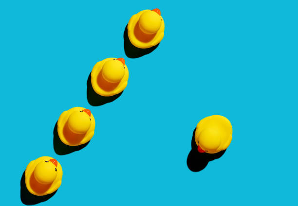 istock Rubber duck moves in a different direction other than the group. 1366541142