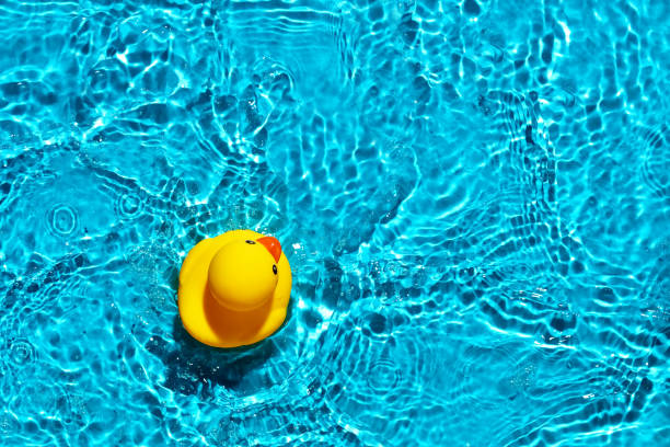 istock Yellow rubber duck toy floating on a swimming pool 1366541217