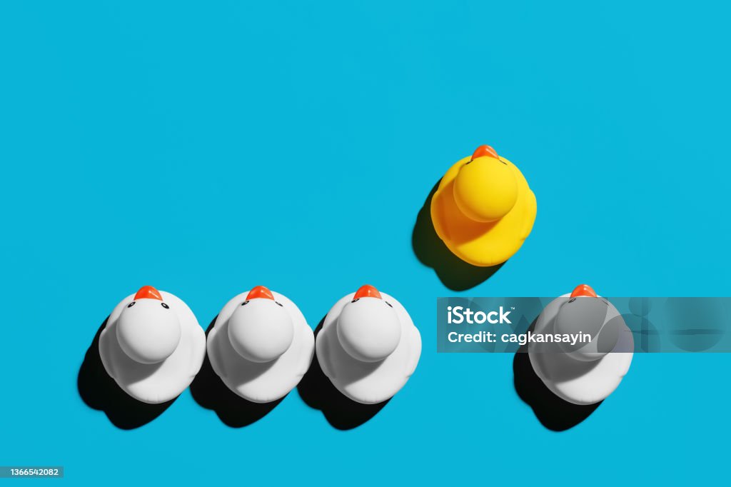 Rubber duck with competitive advantage stands out from the crowd. Successful business startup or career advancement Rubber duck with competitive advantage stands out from the crowd. Successful business startup or career advancement concept. Standing Out From The Crowd Stock Photo