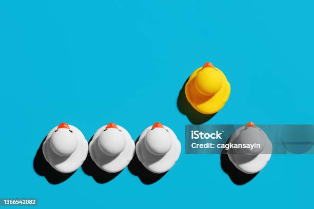Rubber Duck With Competitive Advantage Stands Out From The Crowd Successful Business Startup Or Career Advancement Stock Photo - Download Image Now