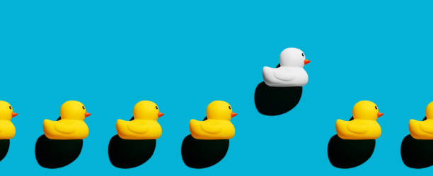 istock Rubber duck stands out from the crowd. Diversity, individuality, difference, minority or independence in business 1366542126