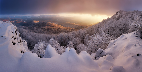 Wide shot of a magical white winter sunset at Vapenna in Small Carpathian with fresh snow over footsteps and frost covered pine trees, Slovakia