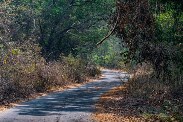 istock Beautiful Country Road 1366542945