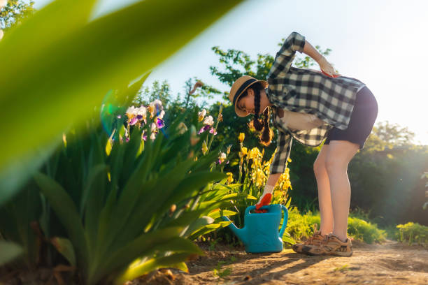 白人の女性は、開花した虹彩の茂みの近くに曲がって立ち、痛みで背中を押しています。下側のビュー。背中の健康上の問題の概念 - iris single flower flower outdoors ストックフォトと画像