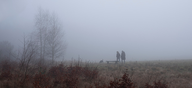 two people walk dog on misty field near utrecht  in the netherlands