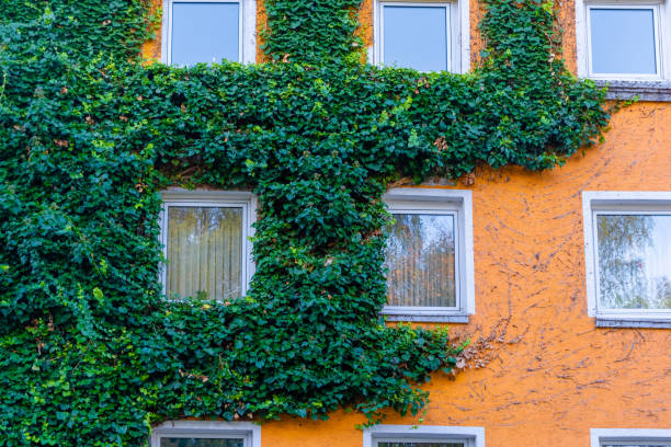 istock Autumn in the city 1366548911