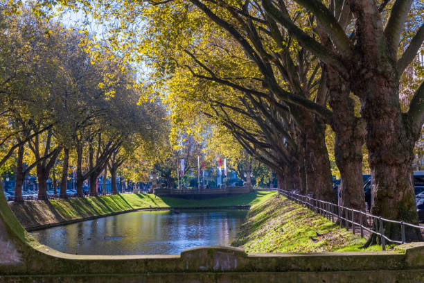 istock Dusseldorf city on Rhein river 1366549221