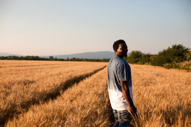 istock Smiling Young Man Standing On Crop Field 1366550583