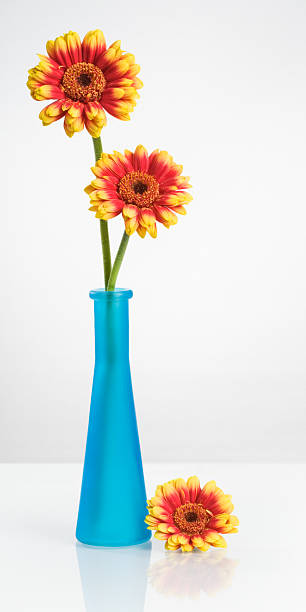 istock Blue Vase with Gerbera Flowers 136655194