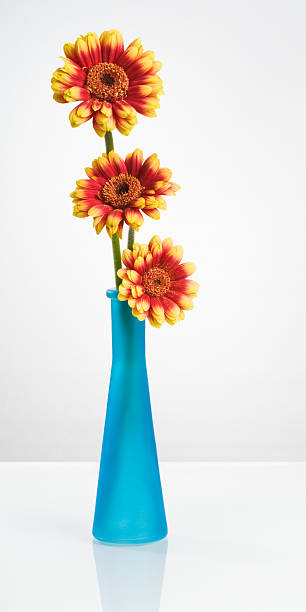 istock Blue Vase with Gerbera Flowers 136655202