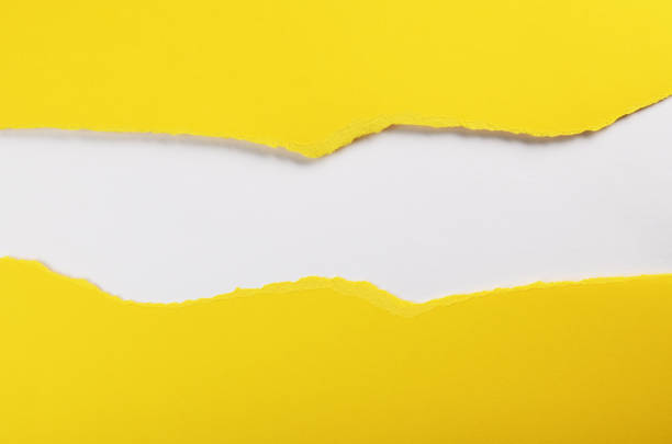 istock Yellow paper with torn edges isolated with white colored paper background inside. Good paper texture 1366554343