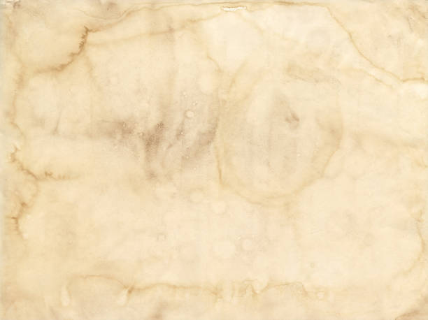 istock Old grunge paper sheet. Parchment texture background 1366555827