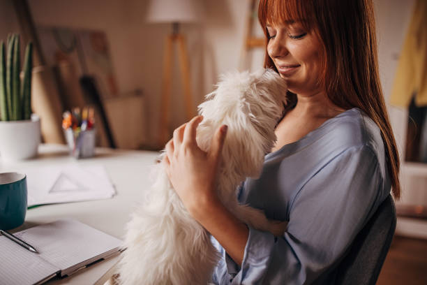 istock Dog loves his owner 1366561024