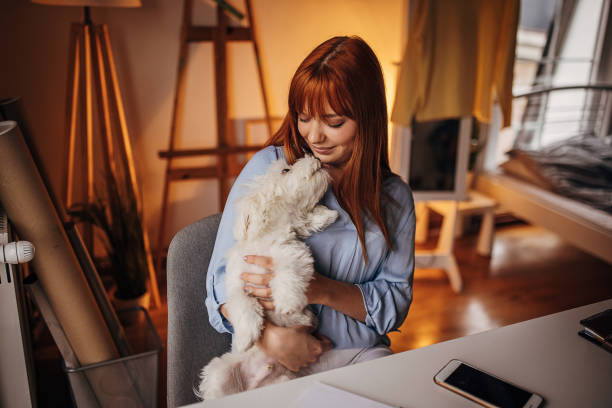 istock Dog loves his owner 1366561589