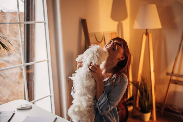 istock Dog loves his owner 1366561678