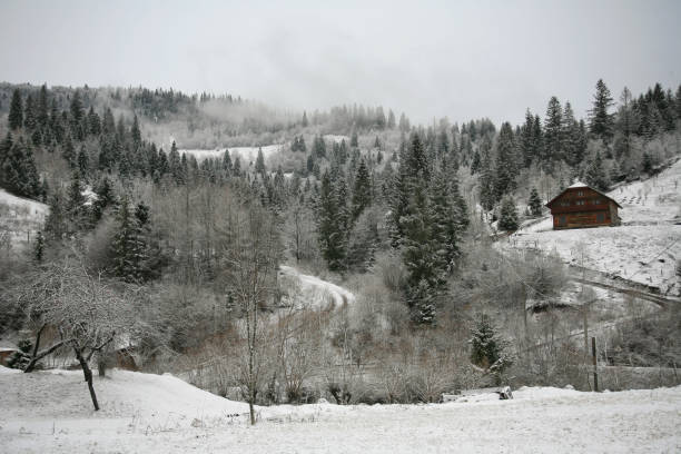 istock Winter Carpathian landscape in the mountains 1366562748