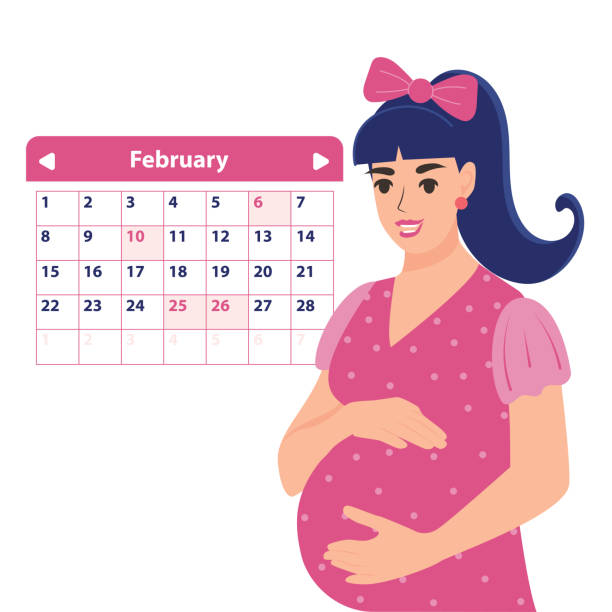 stockillustraties, clipart, cartoons en iconen met pregnant woman and birth calendar. - pregnant count