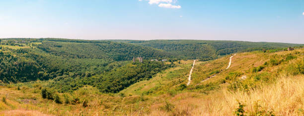 istock Ancient ruined castle in the woods. Mystical building. Impassable thickets of shrubs. Panoramic view. 1366563111