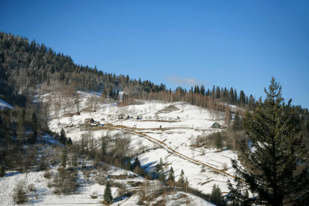 istock Winter Carpathian landscape in the mountains 1366563367