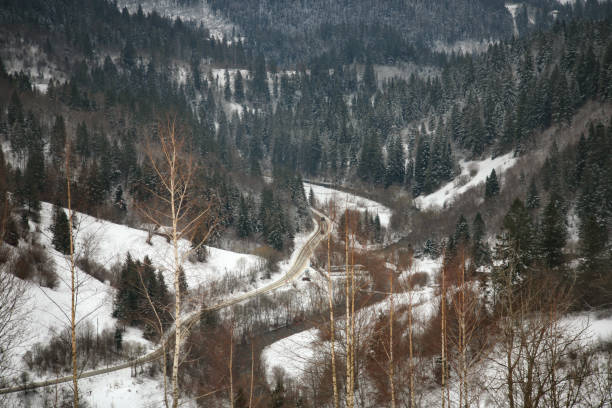 istock Winter Carpathian landscape in the mountains, cloudy 1366564000