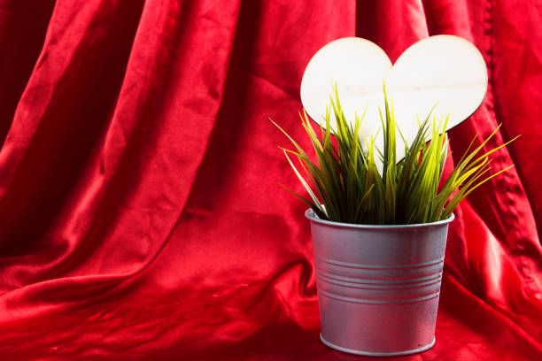 Hearts on the plant pot with red curtain background. Valentines day