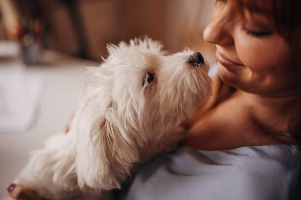 istock Dog loves his owner 1366566144