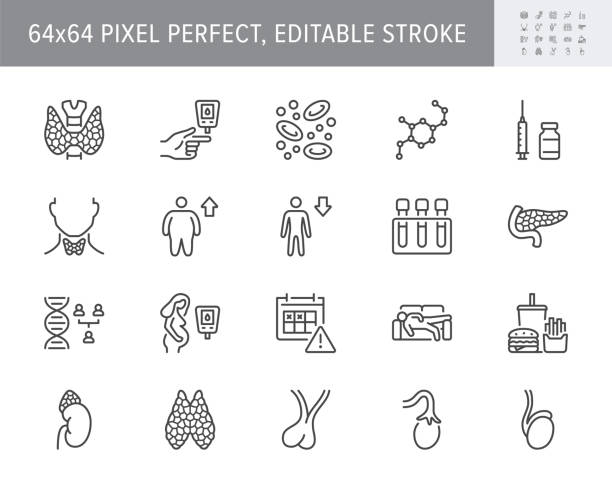 Endocrinology line icons. Vector illustration include icon - thyroid gland, insulin, syringe, adrenal, glucometer, hypodynamia outline pictogram for diabetes. 64x64 Pixel Perfect, Editable Stroke Endocrinology line icons. Vector illustration include icon - thyroid gland, insulin, syringe, adrenal, glucometer, hypodynamia outline pictogram for diabetes. 64x64 Pixel Perfect, Editable Stroke. hormone stock illustrations