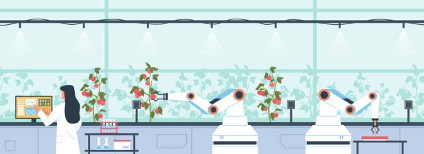роботизированный полив сельскохозяйственных растений. автоматическое орошение тепличных помидоров, умное садоводство, цифровой монитори - greenhouse industry tomato agriculture stock illustrations