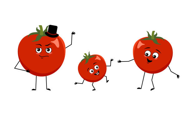 Family of tomato characters with happy emotions Family of tomato characters with happy emotions, smile face, happy eyes, arms and legs. Mom is happy, dad is wearing hat and child is dancing. Vector flat illustration tomato face stock illustrations
