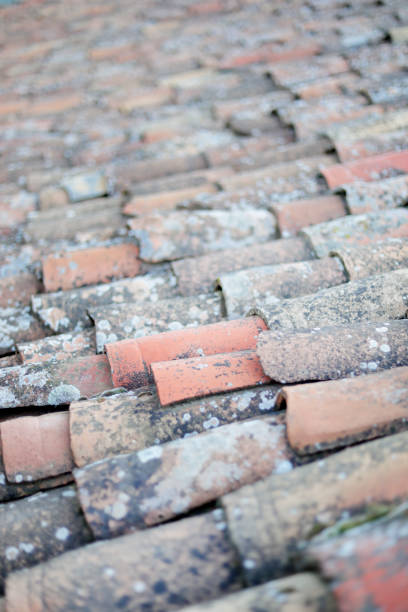 istock Roof tile close up 1366573438