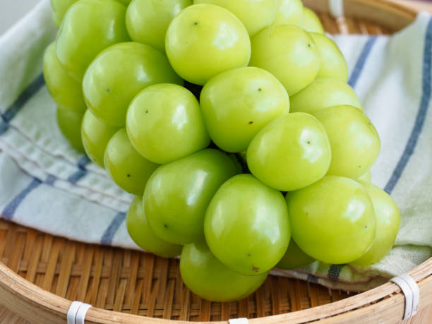istock Fresh Organic Fruit Shine Musket, Grapes 1366574042