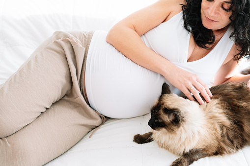 Smiling pregnant young woman lying on the bed stroking her cat. concept pregnancy and pets