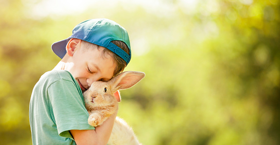 the boy gently hugged a rabbit in a sunny clearing