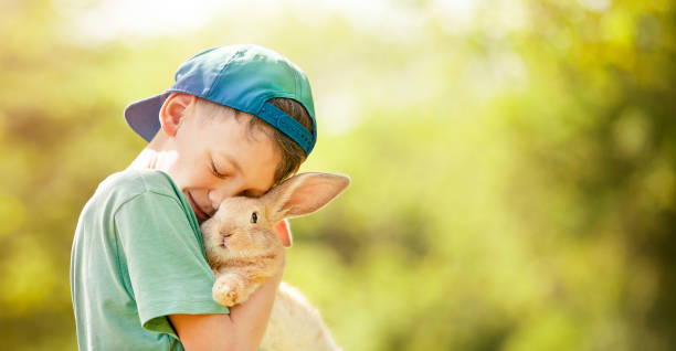 the boy and rabbit - pets friendship green small imagens e fotografias de stock