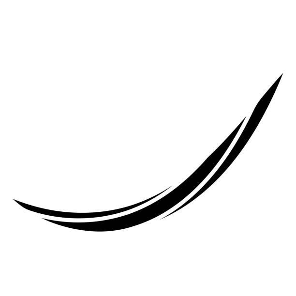 изогнутая каллиграфическая полоса, лента логотипа каллиграфии, изящно изогнутая линия - scroll shape ornate swirl striped stock illustrations