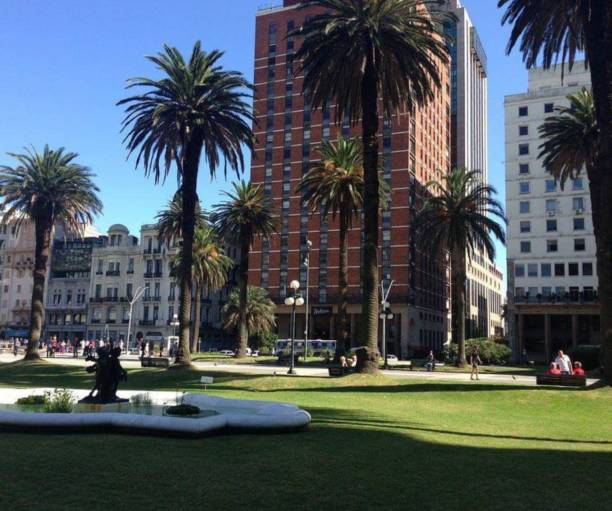 istock Palm trees in the park 1366581137
